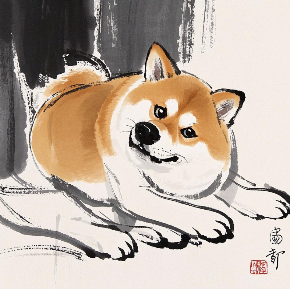 柴犬